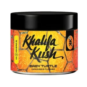 baby turtle khalifa kush
