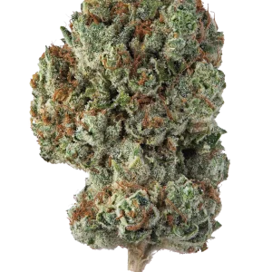 khalifa kush k1