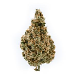 Blem Flower - Tangie Ting 3.5g