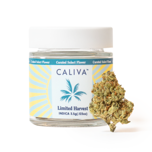 Caliva Curated Select Wrap Jar - Wedding Cake 3.5g