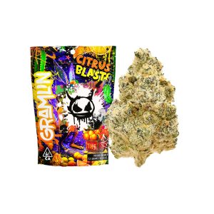 Citrus Blast | Indoor