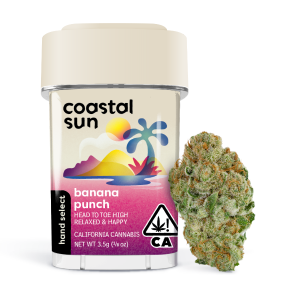 Coastal Sun Flower - Banana Punch 3.5g