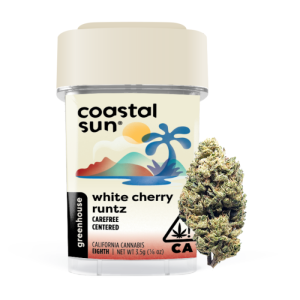 Coastal Sun Flower - White Cherry Runtz 3.5g