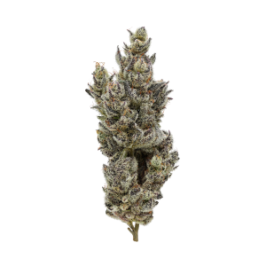 Fig Farms Flower - Holy Moly! 3.5g