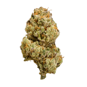 Humo Flower - Gelatina (Ounce | 28g)